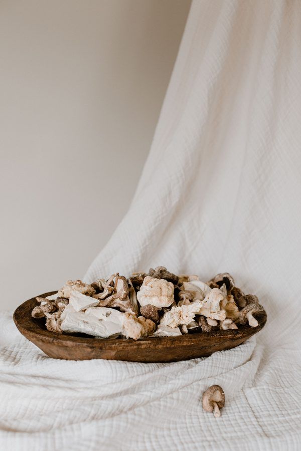 Functional Mushrooms: Nature’s Superfood for Mind and Body