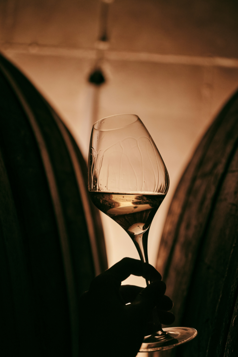 Beyond the Buzz: How Letting Go of Alcohol Heals Your Sleep and Nervous System