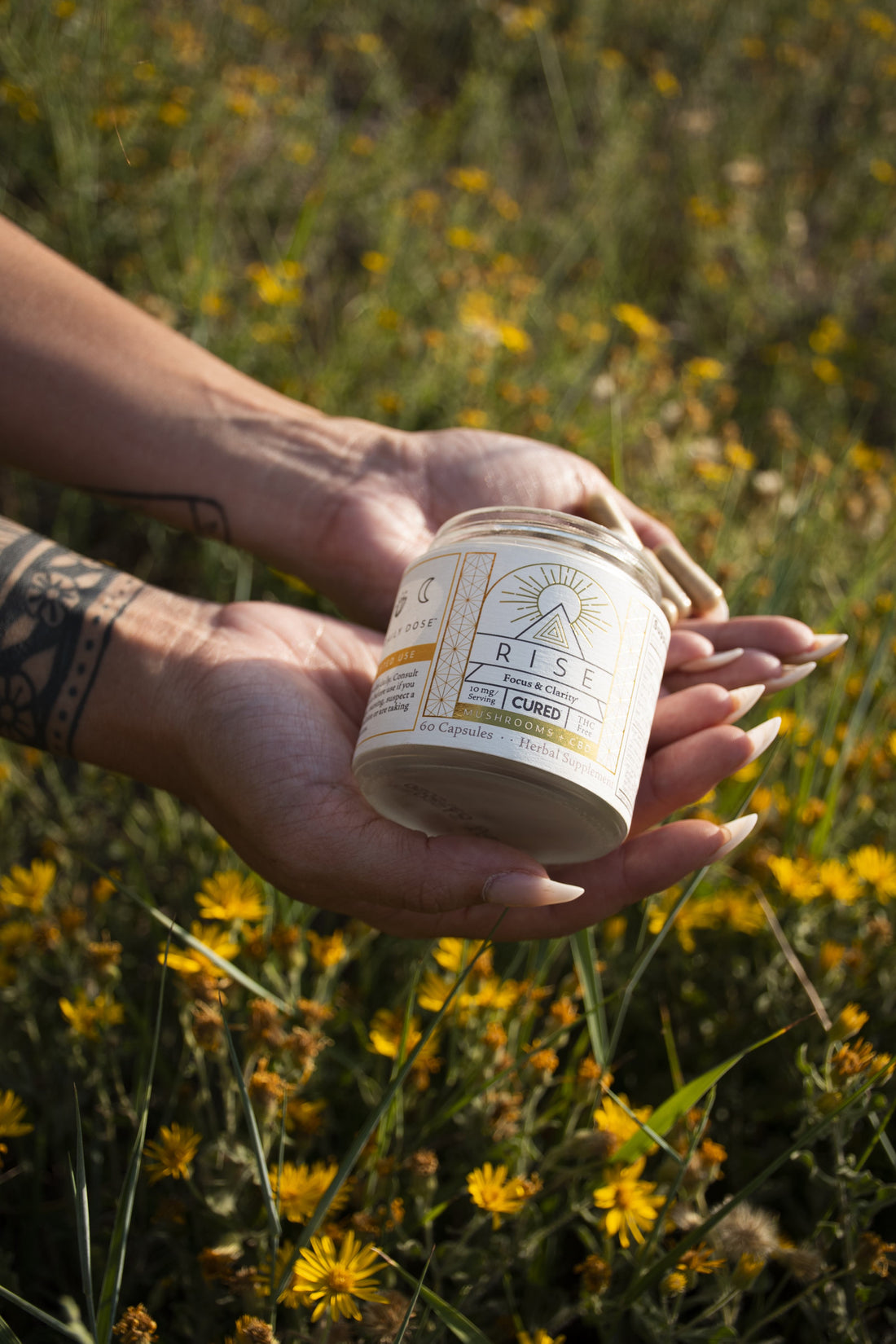 Two Big Reasons to Supplement with Gotu Kola