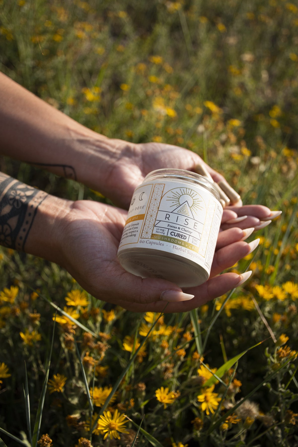 Two Big Reasons to Supplement with Gotu Kola