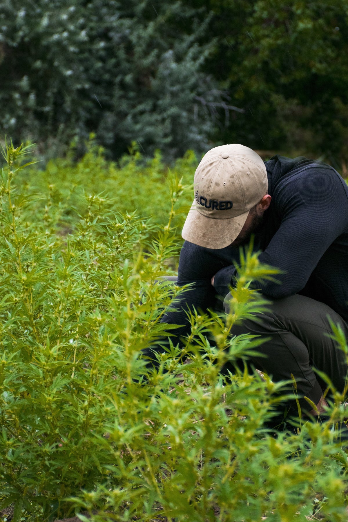 Are Natural Supplements the Key to Better Health?