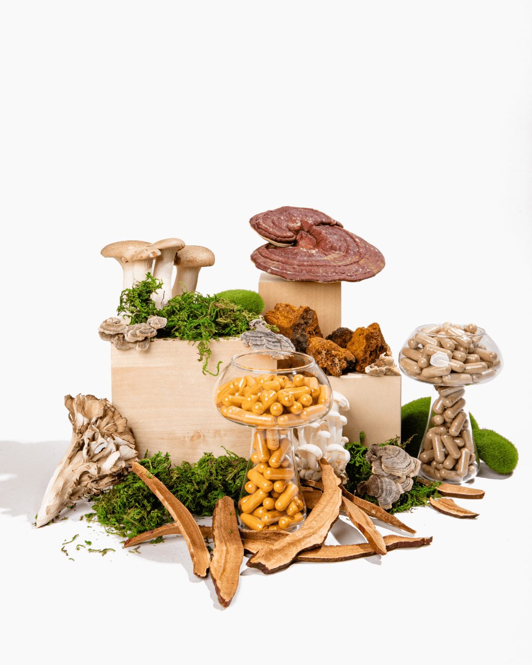 Habit Stacking, But With ‘Shrooms