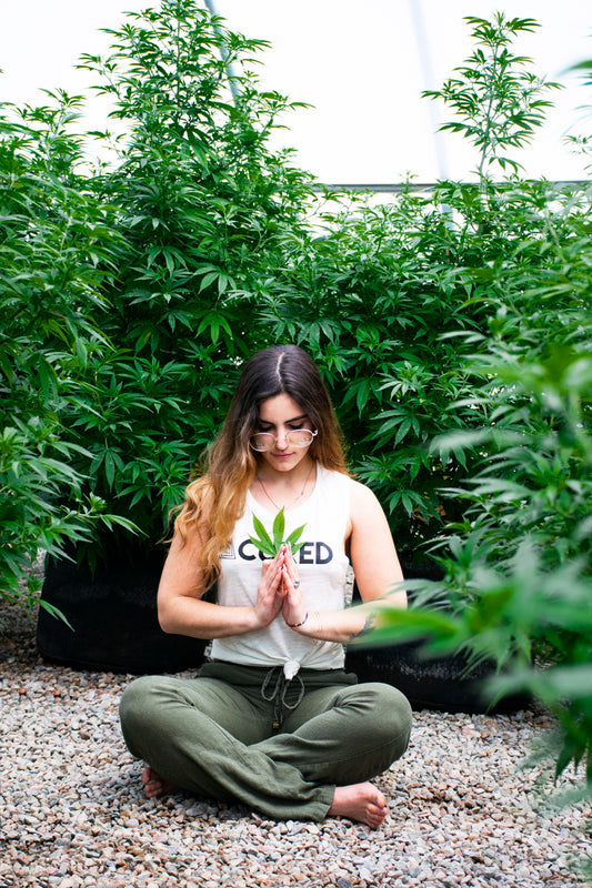 First Time Trying Hemp? Here's What to Expect in the First 30 Days