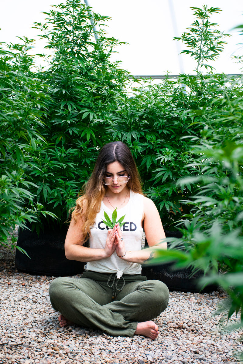 First Time Trying Hemp? Here's What to Expect in the First 30 Days