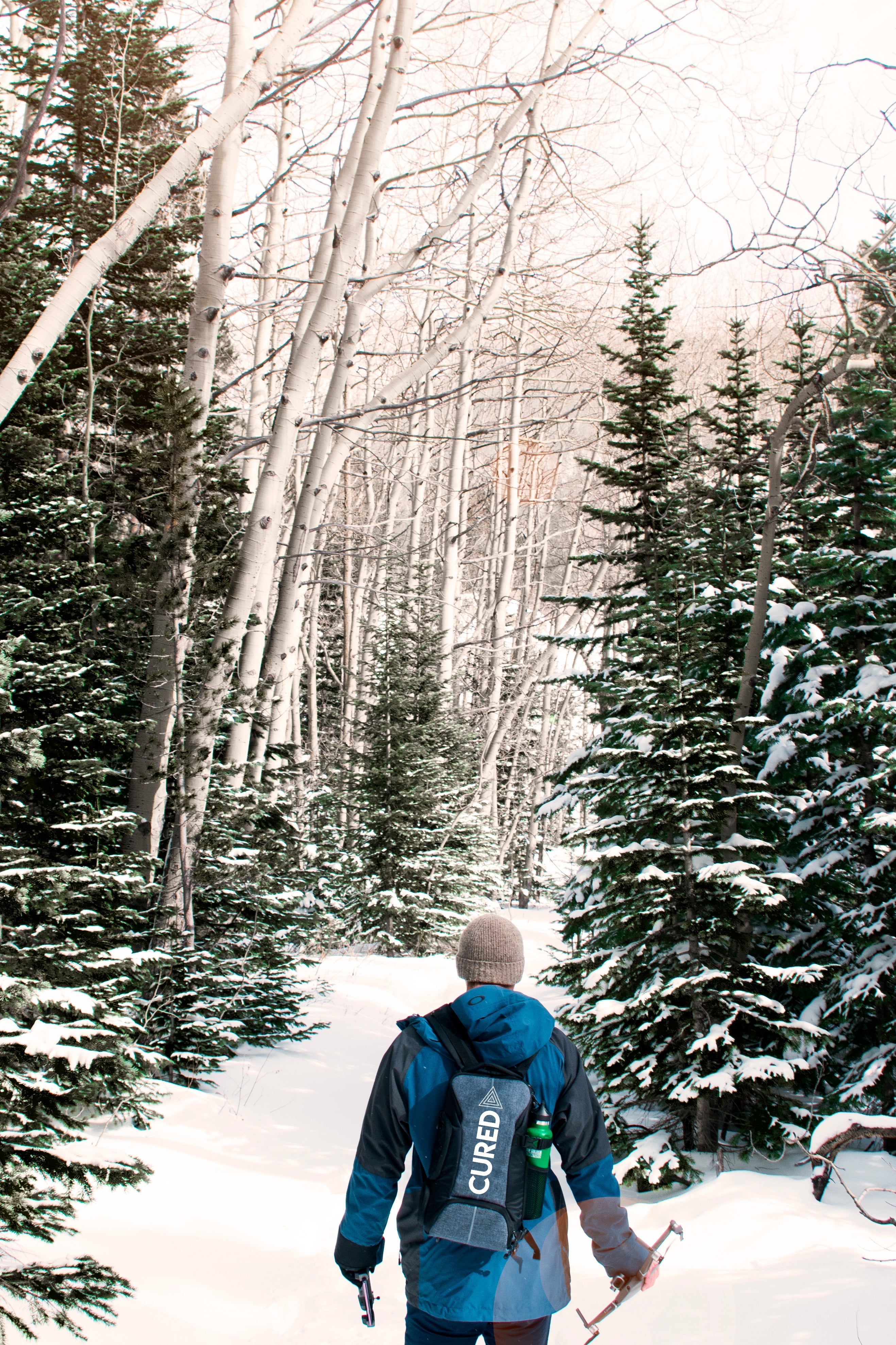 Why Your Nervous System Feels Different in Winter: A Seasonal Science ...