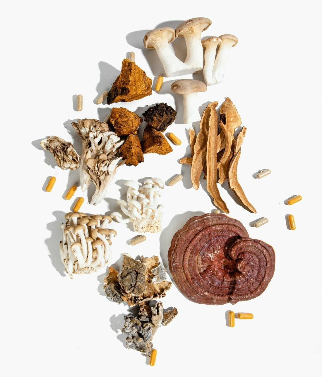 So, What Are Functional Mushrooms Anyways?