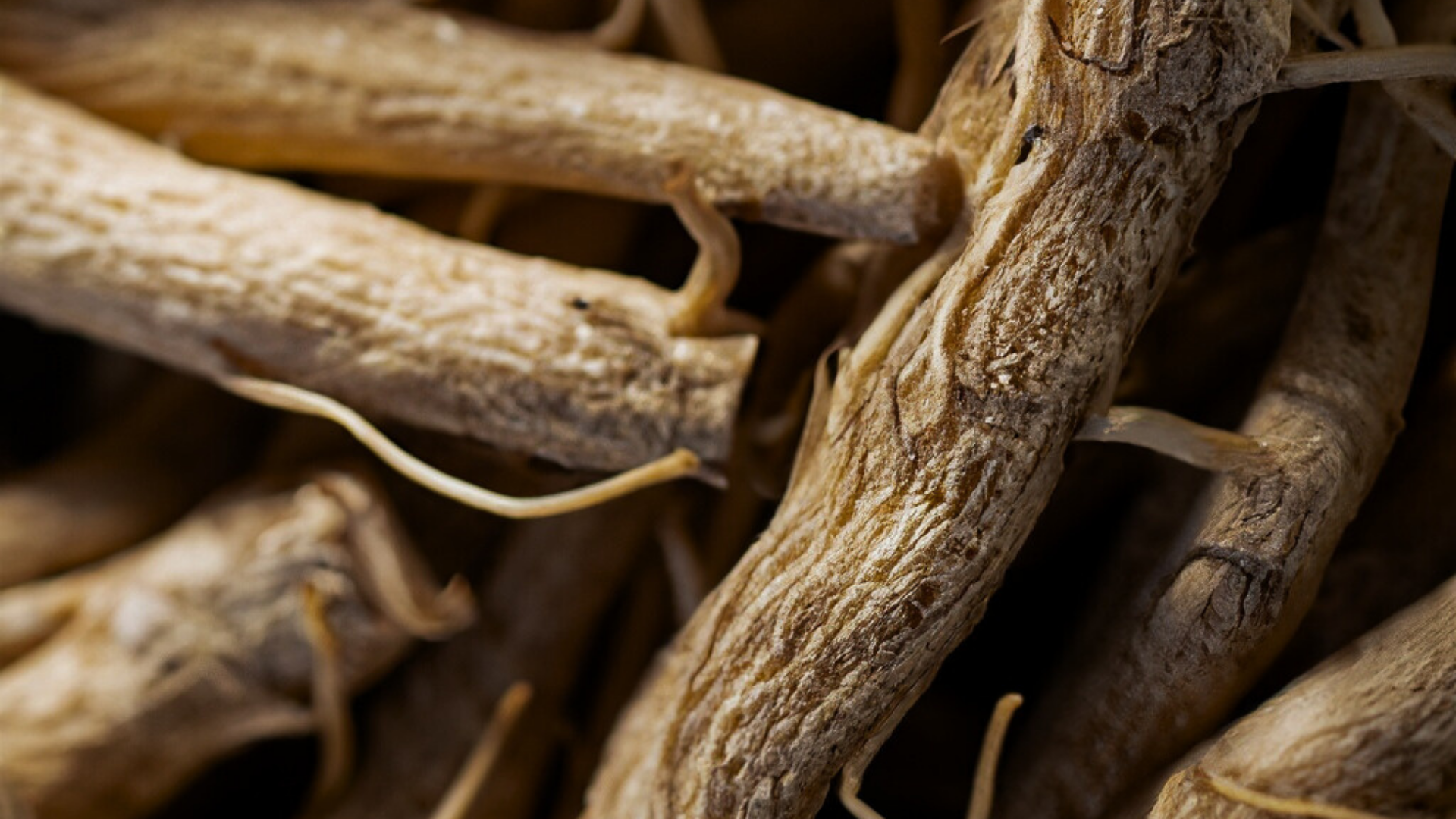 Product Highlight Image