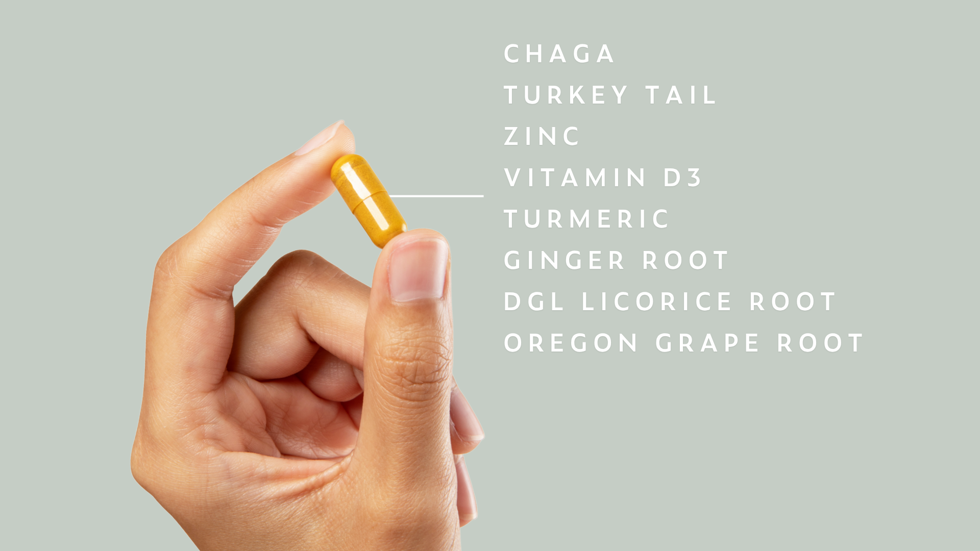 Product Highlight Image