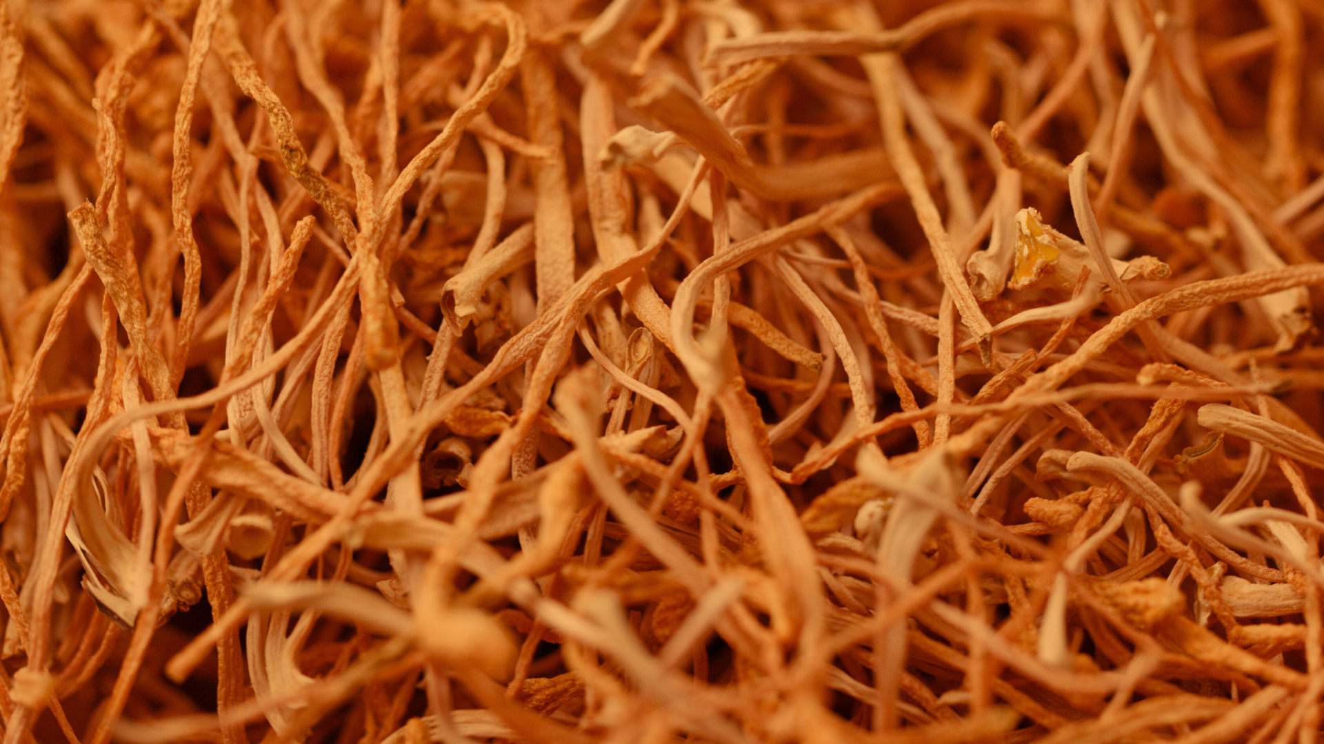 Product Highlight Image