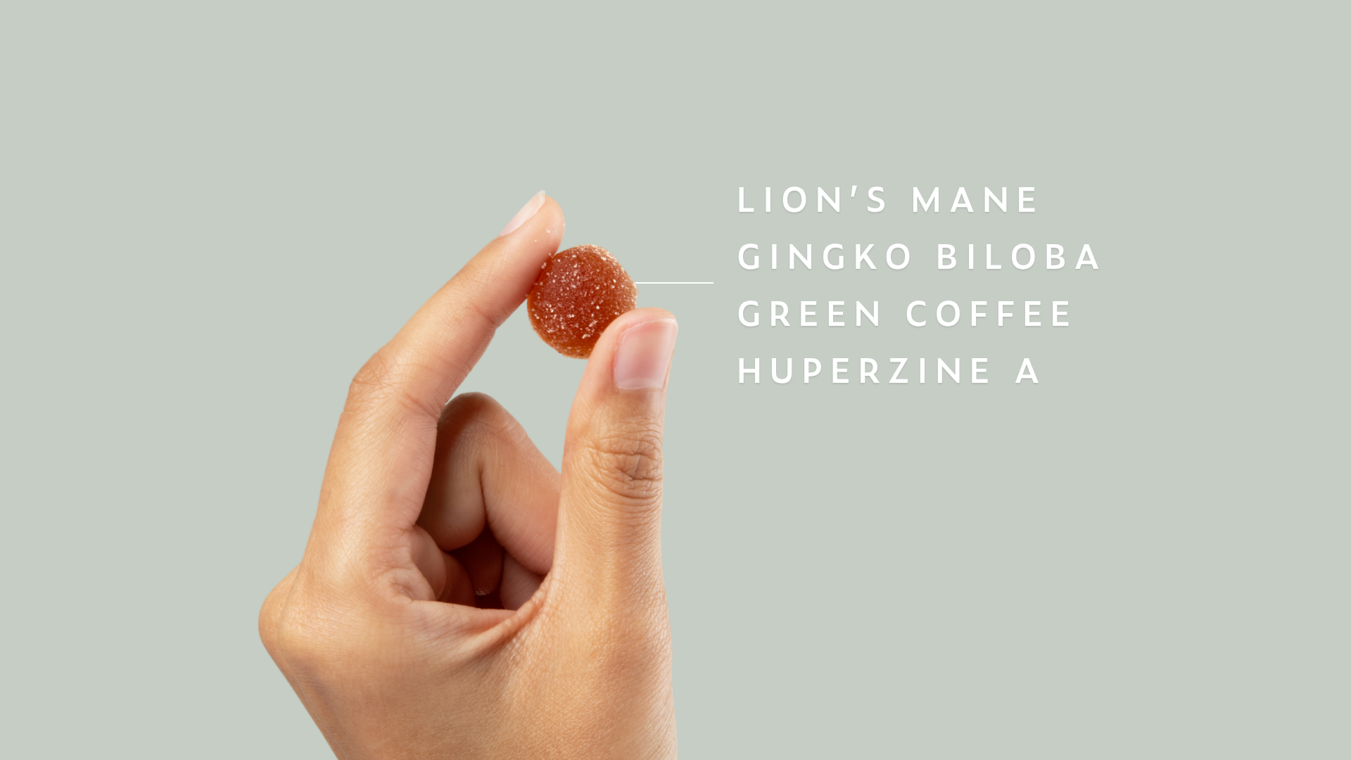 Product Highlight Image