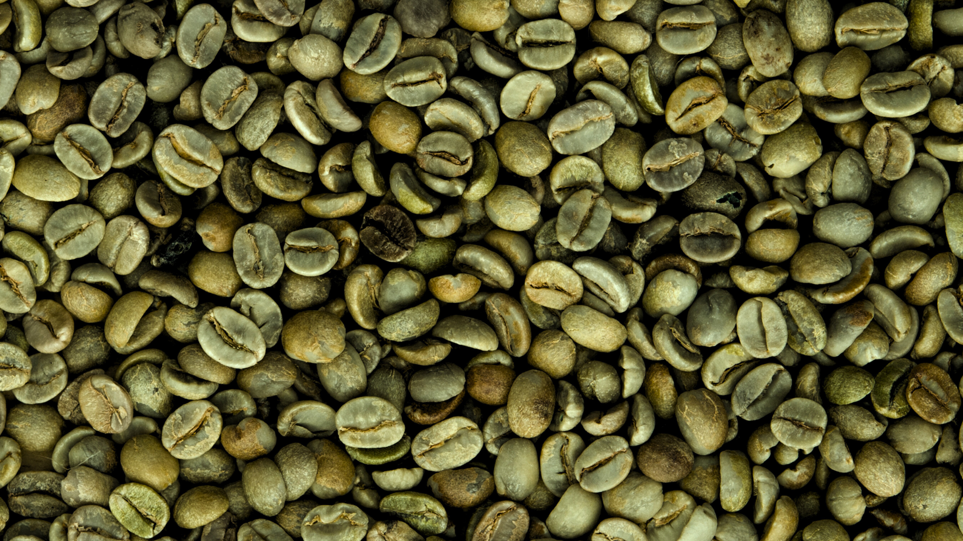 Product Highlight Image