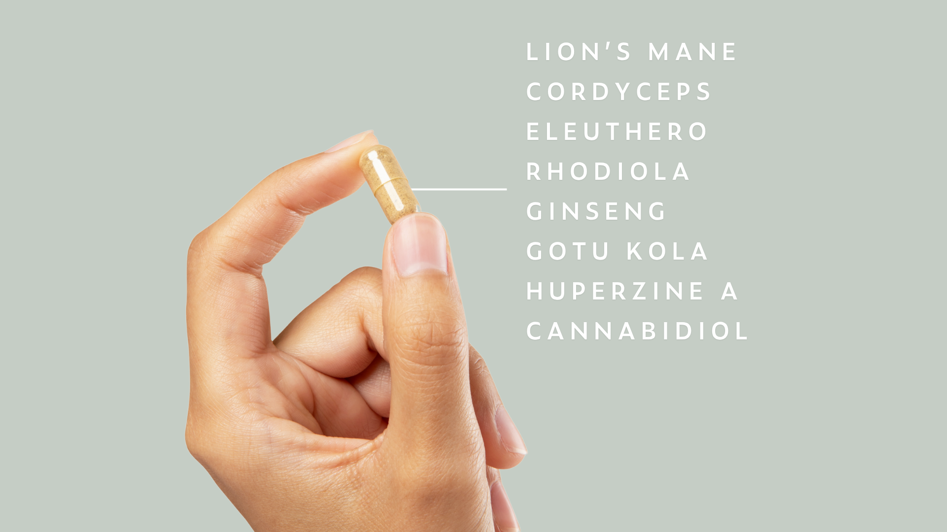 Product Highlight Image