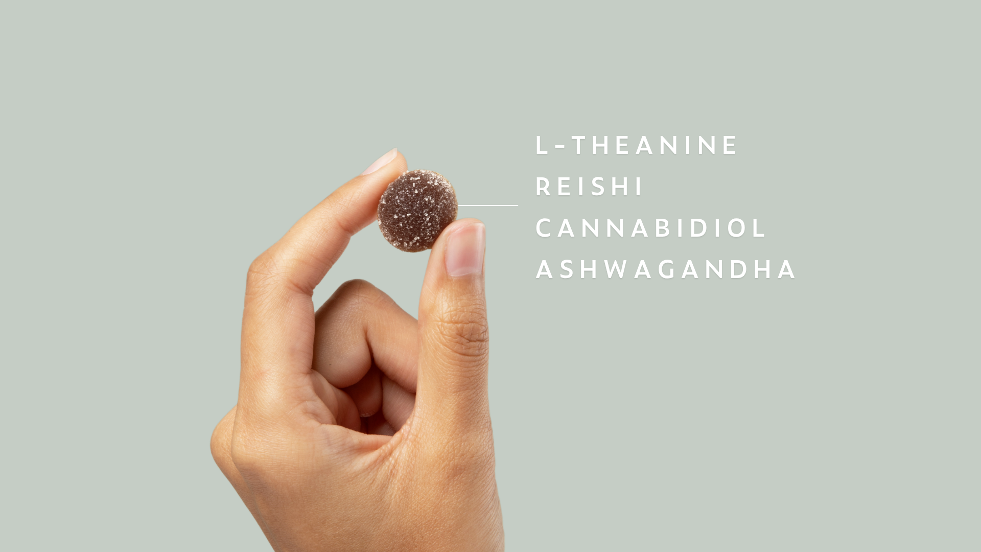 Product Highlight Image