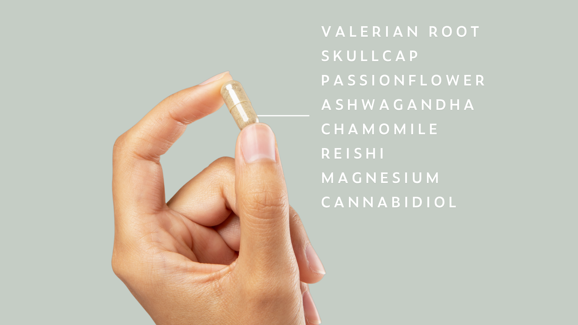 Product Highlight Image